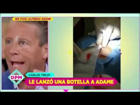Alfredo Adame habla del botellazo de Trejo, ¿se pospone la pelea? | De Primera Mano