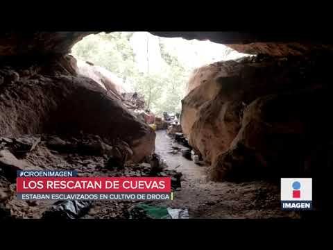 Los escondían en cuevas y cultivaban amapola en Chihuahua | Noticias con Ciro Gómez Leyva