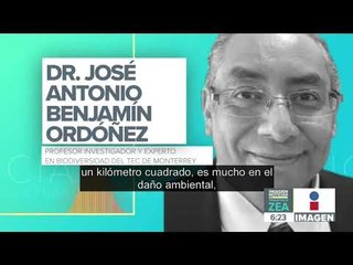 Profepa investiga derrame de ácido sulfúrico en el Mar de Cortés | Noticias con Francisco Zea