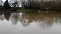 Flooding in Sprotbrough