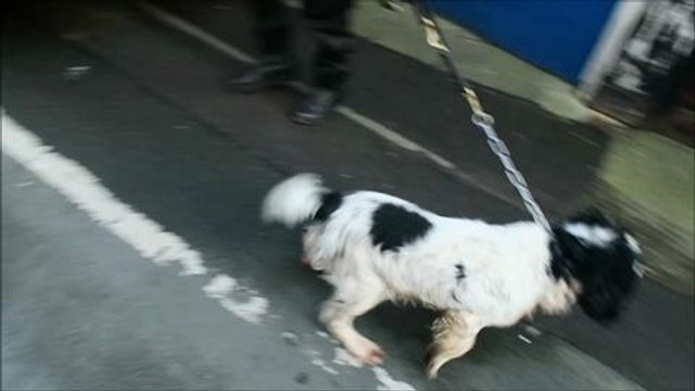 Drugs raid in Bridlington