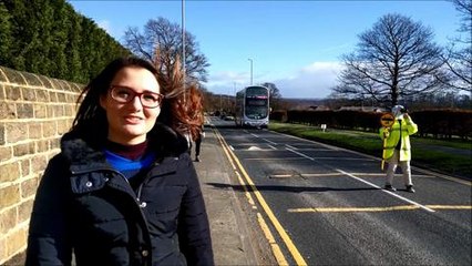 Zebra Crossing Trinity Leeds