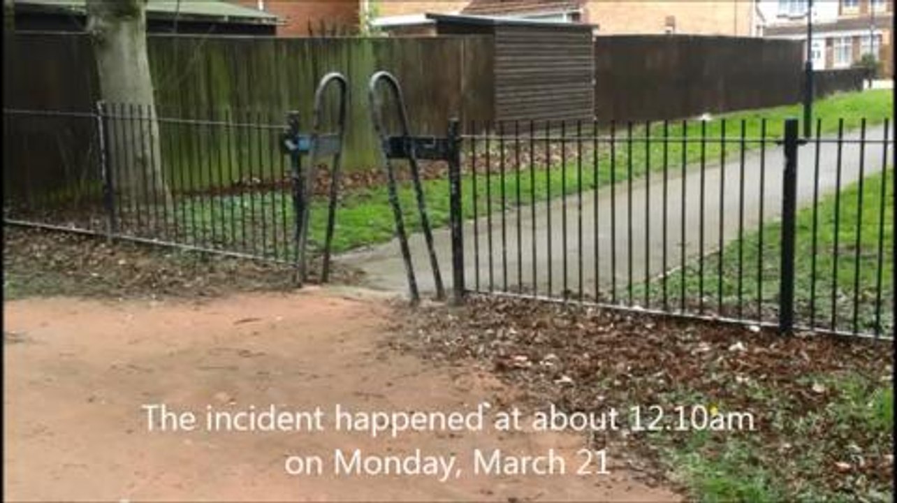 Police investigating alleged rape