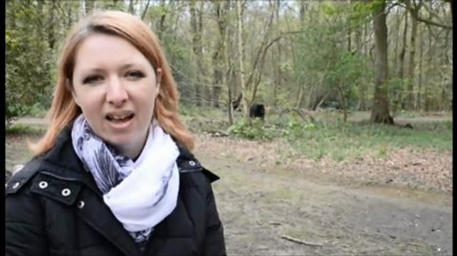 VIDEO: Parents in protest over SATs