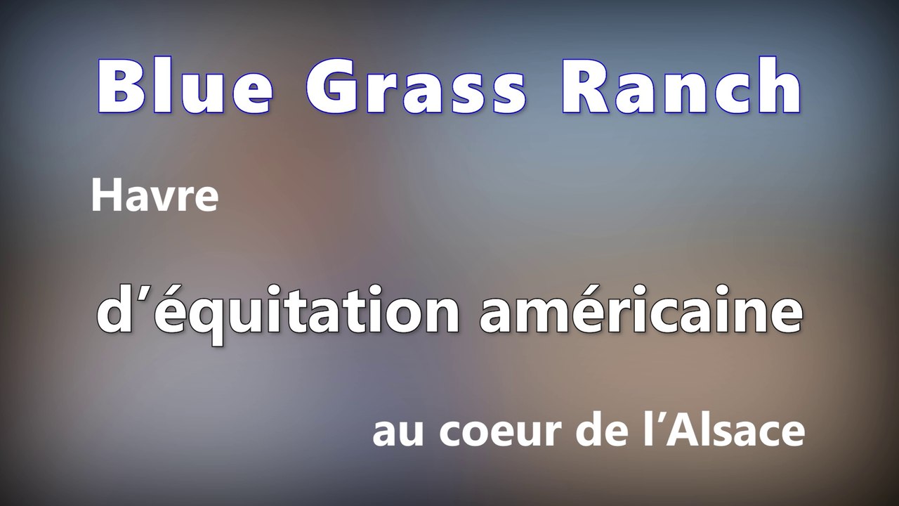 DNA - Havre d’équitation américaine au cœur de l’Alsace