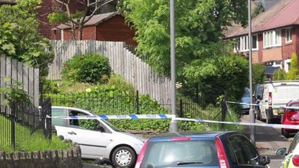 Wadsley Lane murder scene