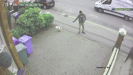 Dirty dog owner caught in the act