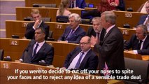 Nigel Farage in EU parliament
