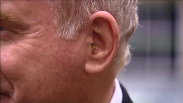 McGuinness faces off wasp