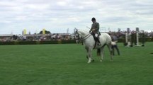 Gt Yorkshire Show: Ridden horses