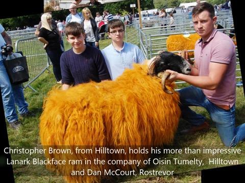 Sunshine greets Castlewellan Show