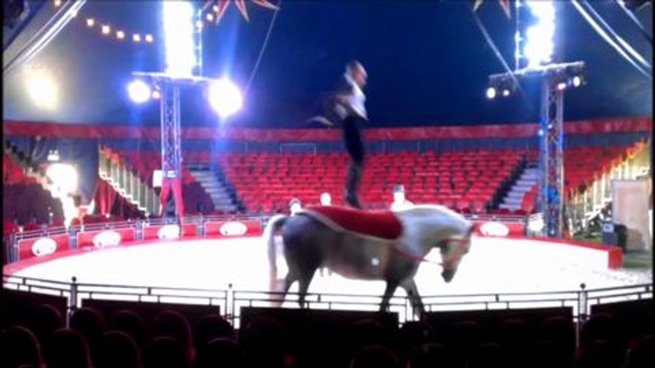 Circus video