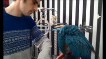 Man reunited with parrot after rescue