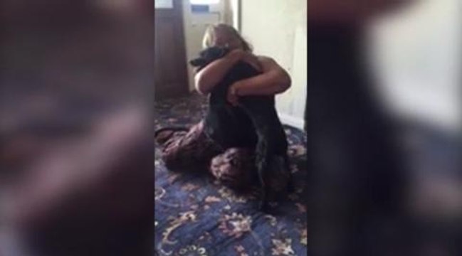 Dog reunited