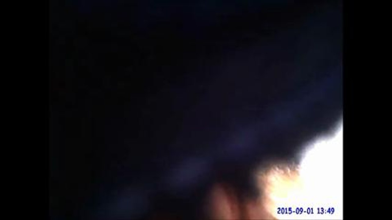 Traffic warden assault