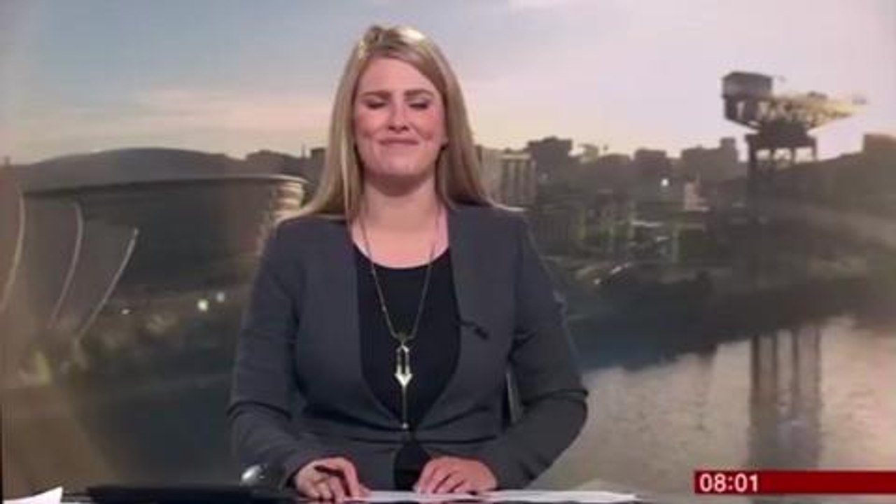 Wasp appears on BBC Scotland