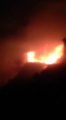 Pigeon cree fire kills 10 birds