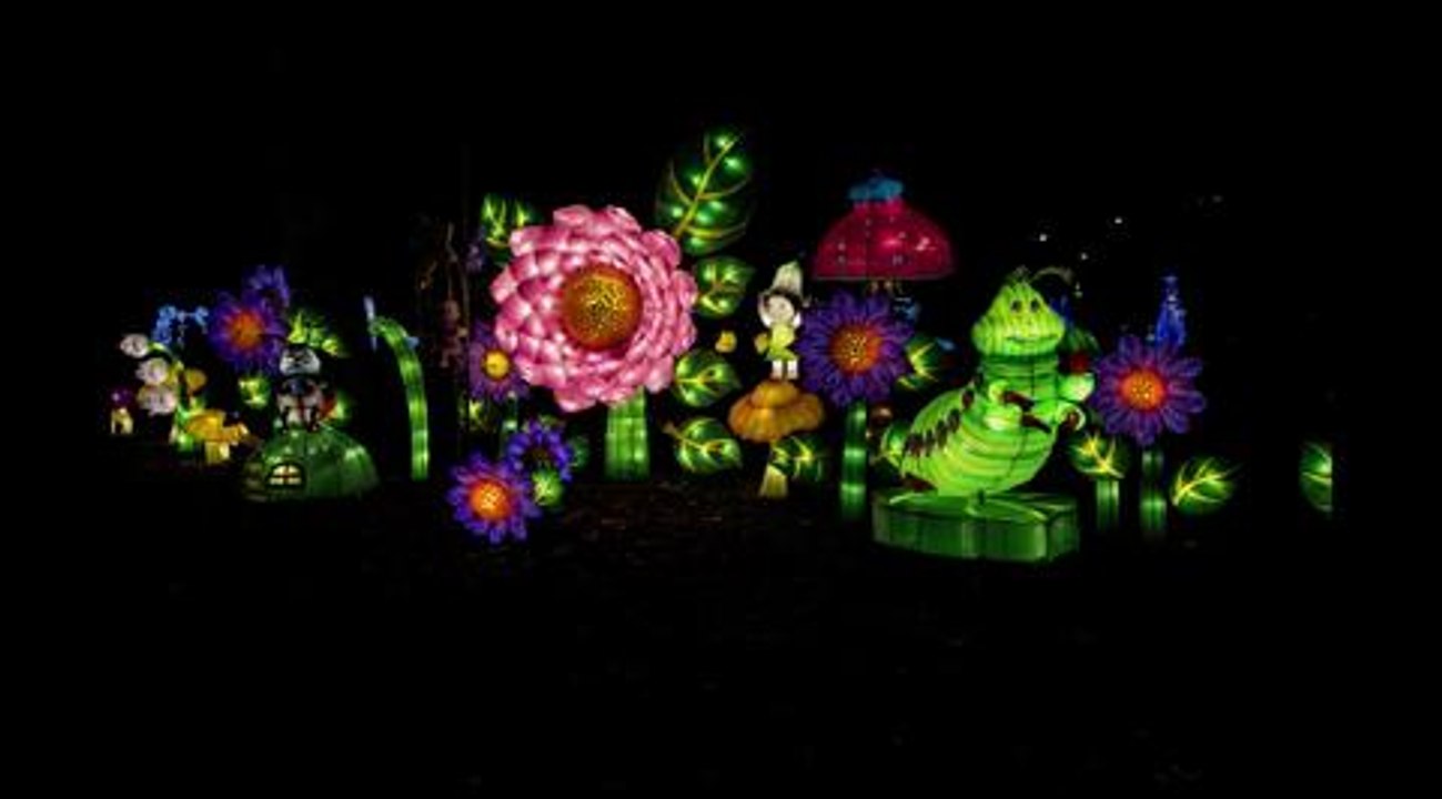 Essay magic lanterns