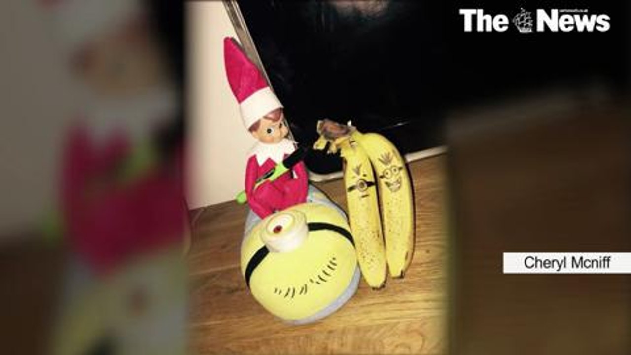 Elf on Shelf