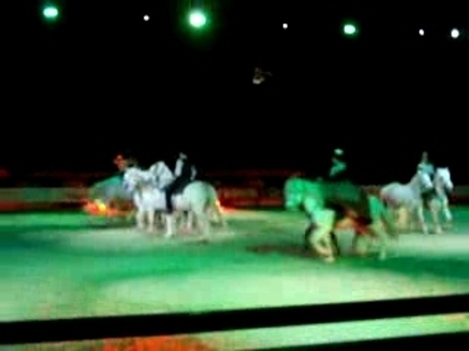 camargues salon du cheval