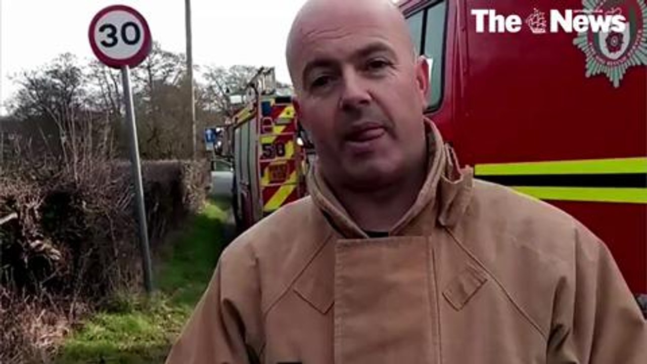Horse rescue