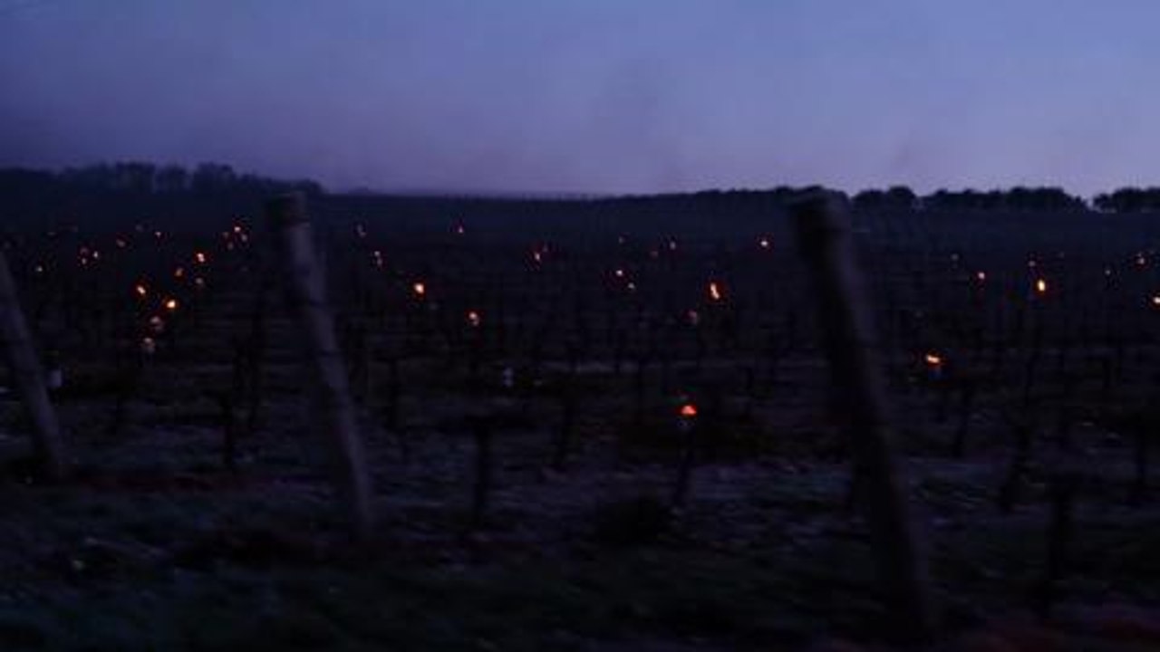 Vineyard candles