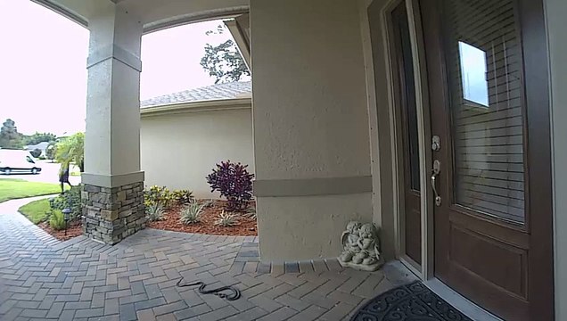 Pour une fois qu'un livreur a une bonne raison de balancer un colis. Regardez pourquoi