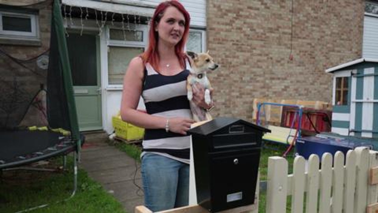 Postie's Chihuahua refusal