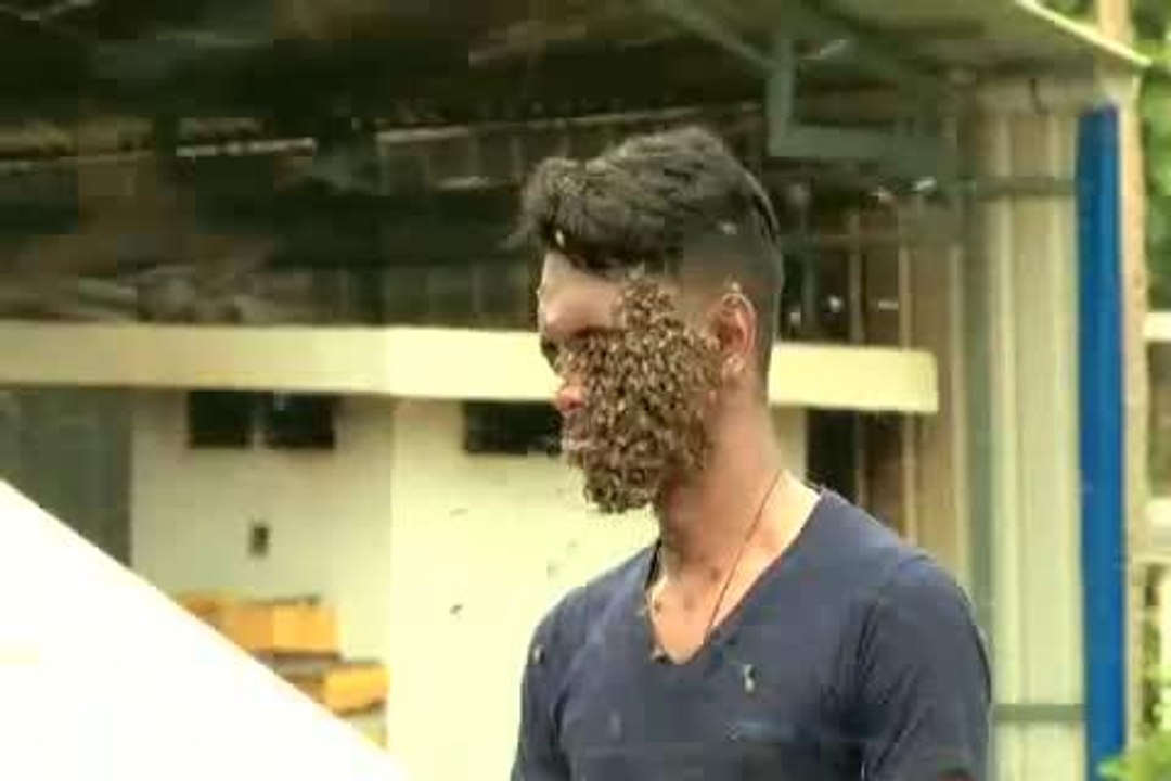 Bees swarm on man's head