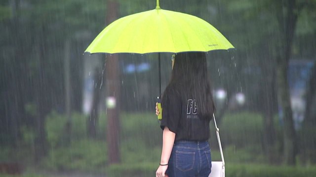 [날씨] 오늘 무더위 속 소나기...내일 제주 장맛비 / YTN