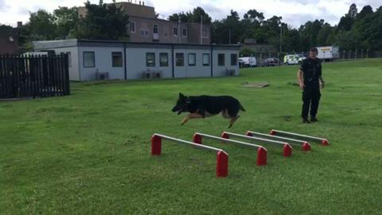 Edinburgh police dog honoured