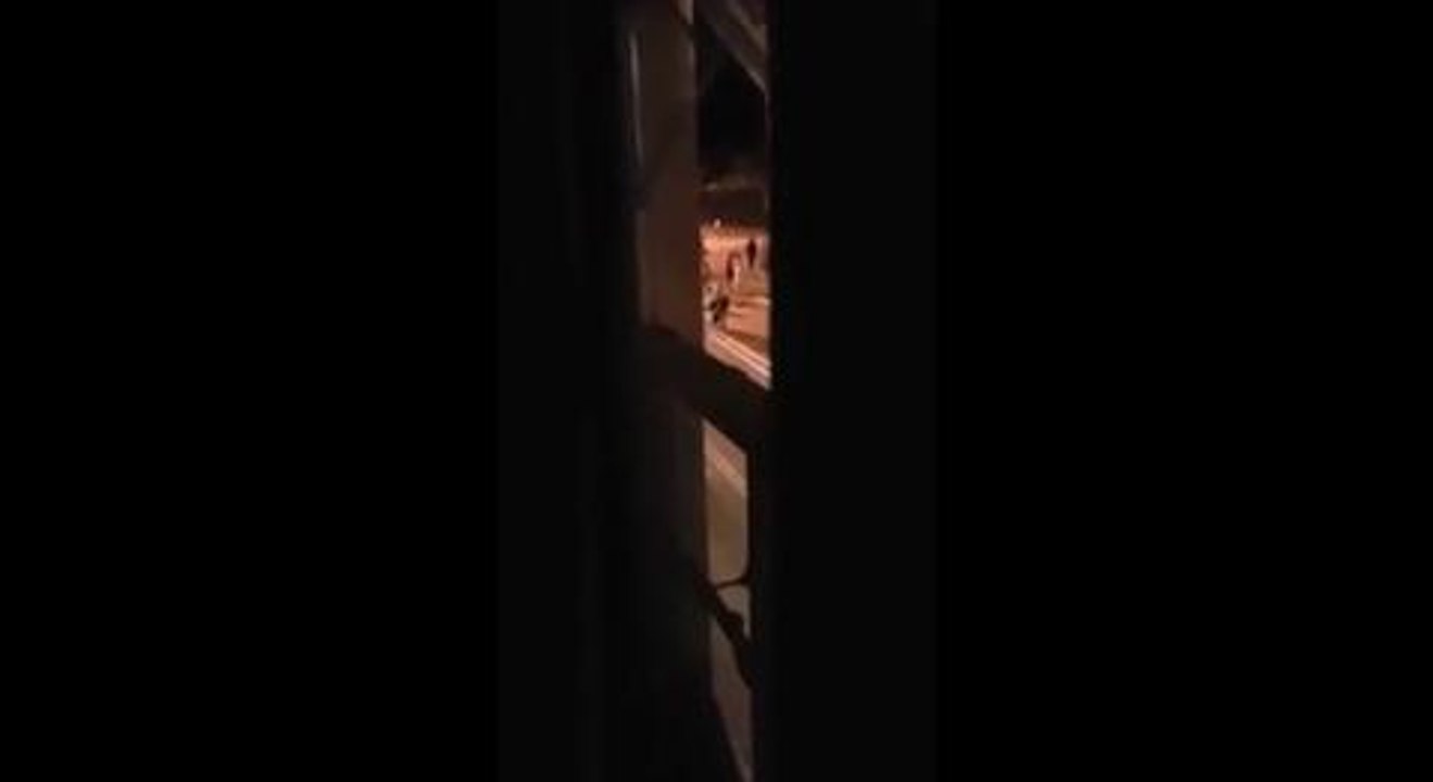 Youths brawl