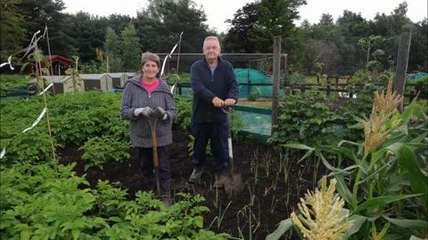 allotments