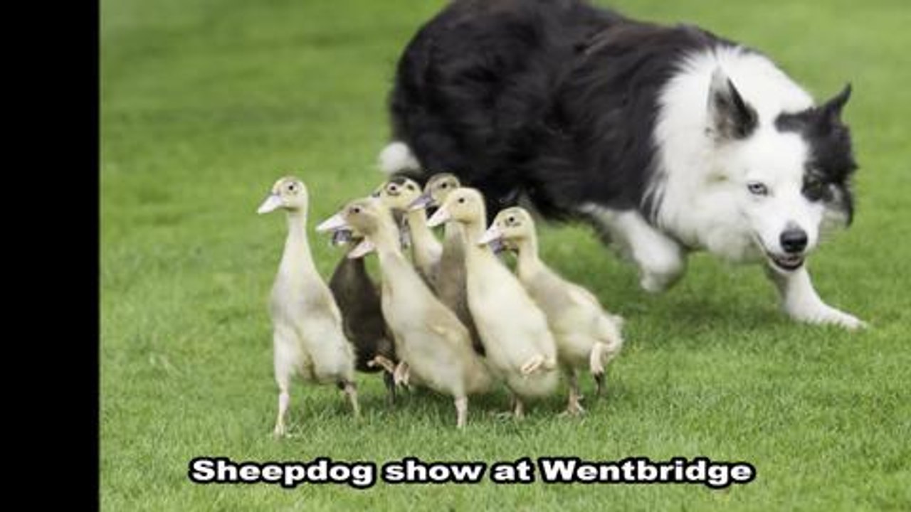 Yorkshire Day
