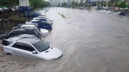 폭우에 대전 대동천 범람...차 60여 대 침수 / YTN