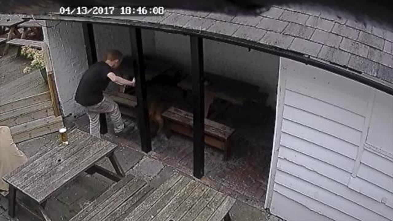 Brighton man banned from contact with animals after ?disturbing? attack on dog