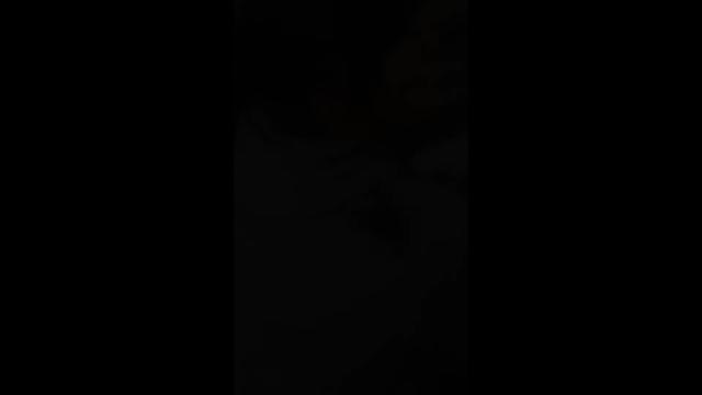 Spiders in North East homes