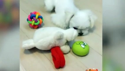 안산출장안마 -후불100%ョØ1ØE6814E3375｛카톡VR19｝ 안산전지역출장안마 안산오피걸 안산출장마사지 안산안마 안산출장마사지 안산콜걸샵ЭЮЯ