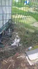 Damage caused to cricket club