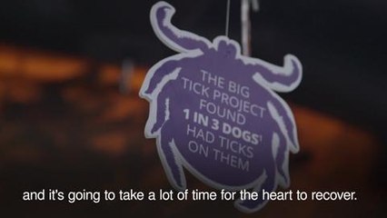 Lyme disease warning