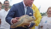 Prince Charles helps release turtles back into the wild