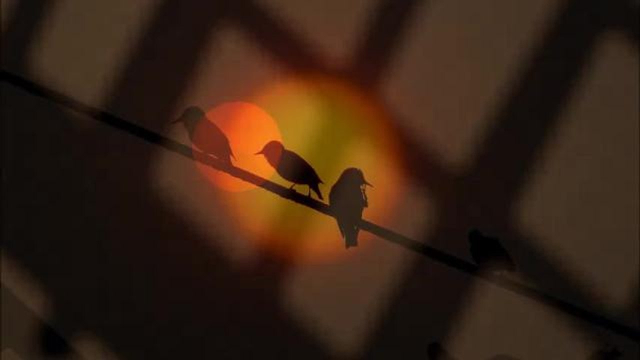 Red sun makes way for winds on Fylde coast