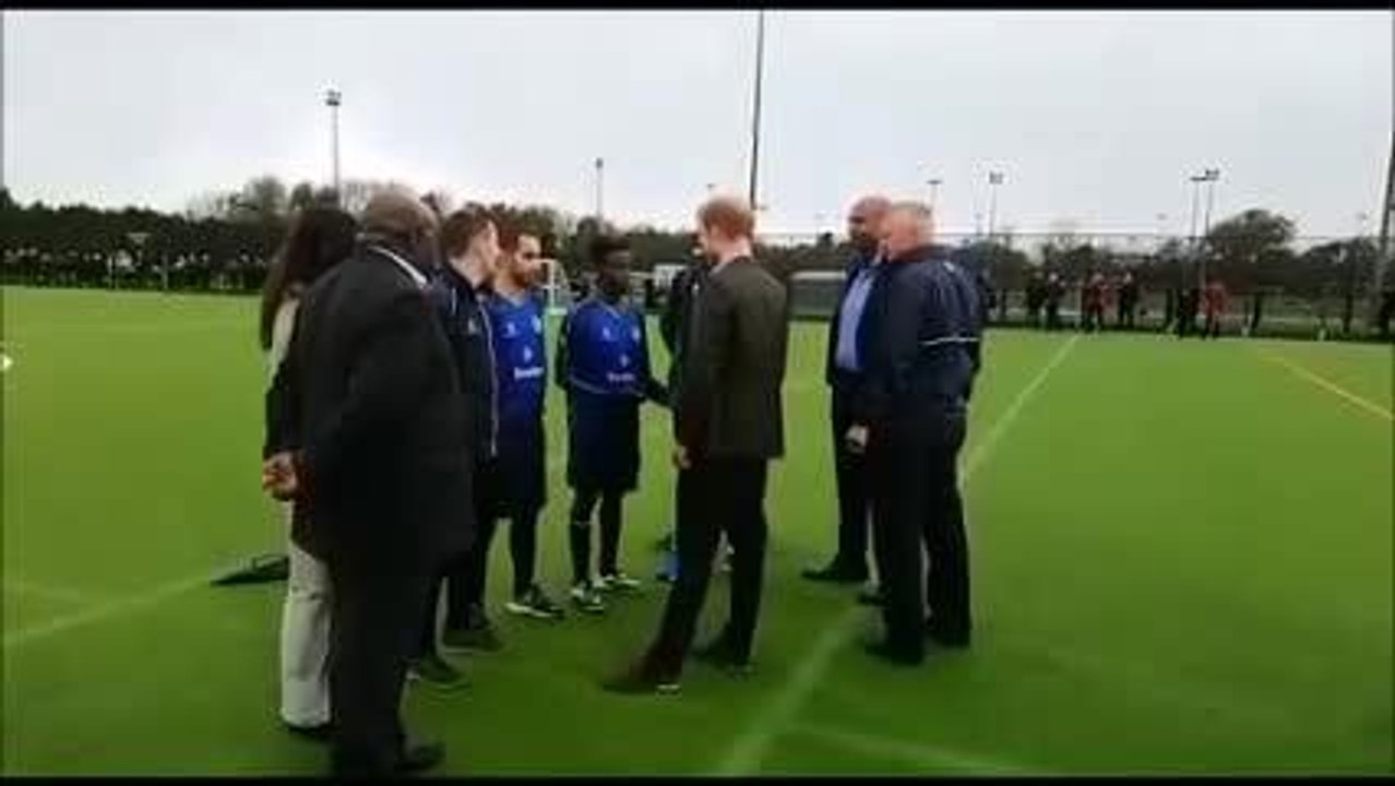 Prince Harry visit