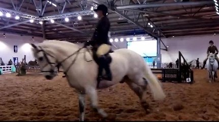 CountrysideLive Showjumping