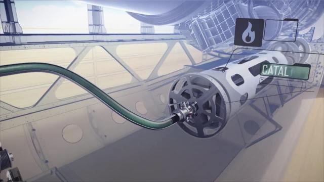 Bloodhound facts and figures