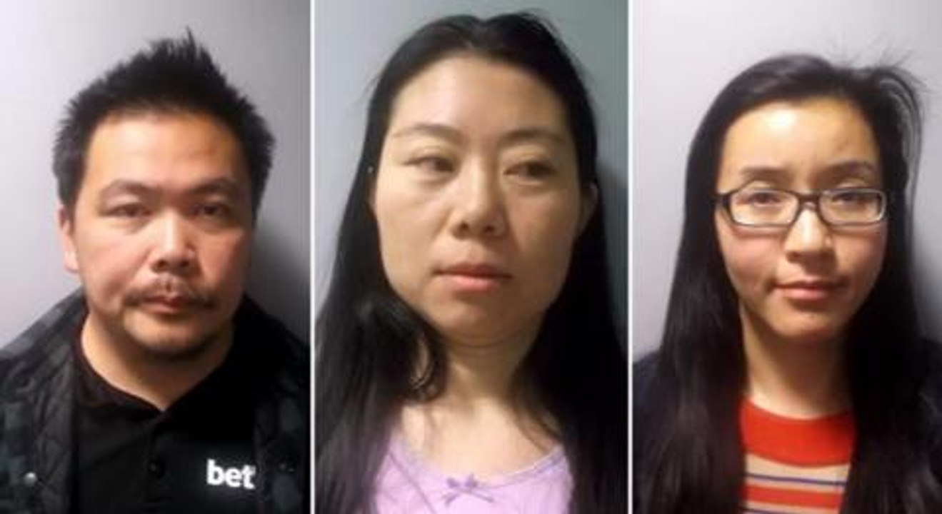 Prostitution gang sentenced