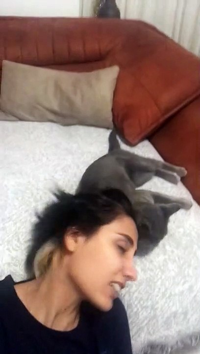 Putting Their Heads Together