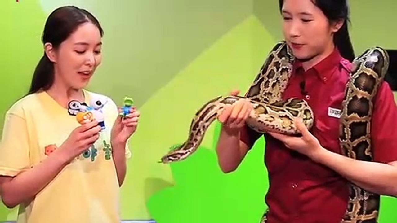 양구출장안마 -후불100%ョØ7ØS7333S9649｛카톡LGT010｝ 양구전지역출장안마 양구오피걸 양구출장마사지 양구안마 양구출장마사지 양구콜걸샵⊙◈