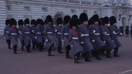 Royal Navy guards Buckingham Palace