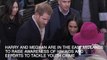 Prince Harry and Meghan Markle carry out first royal engagement together